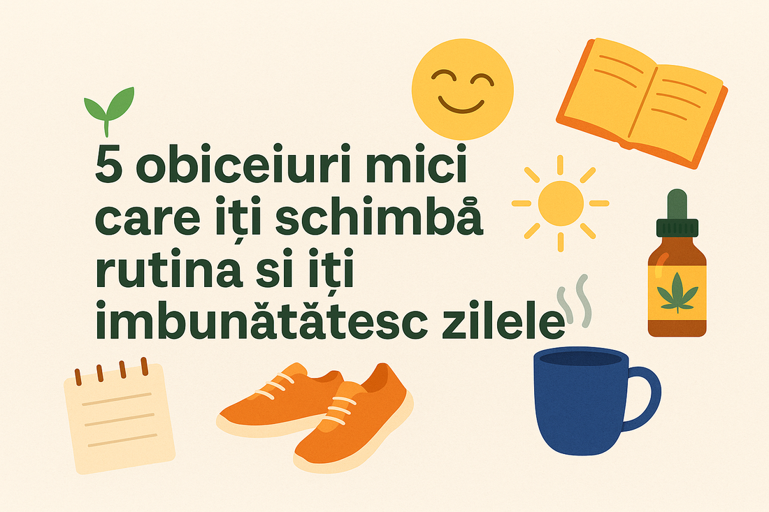 🌱 5 obiceiuri mici care îți schimbă rutina și îți îmbunătățesc zilele
